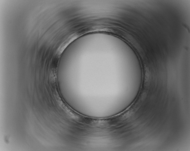 X0000103491377200809261941