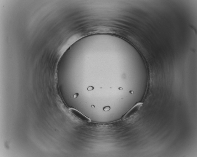 X0000103491378200809261940