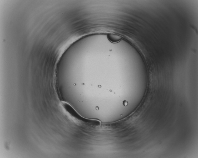 X0000103491379200809261940