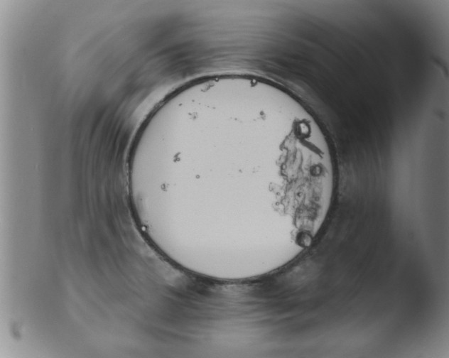 X0000103491380200809261940