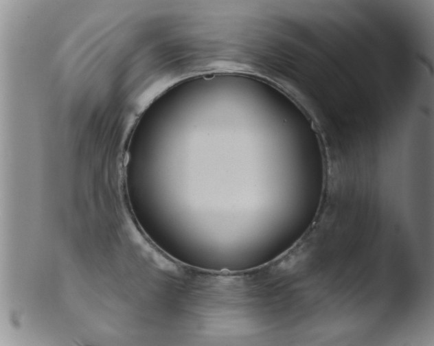 X0000103491381200809261940