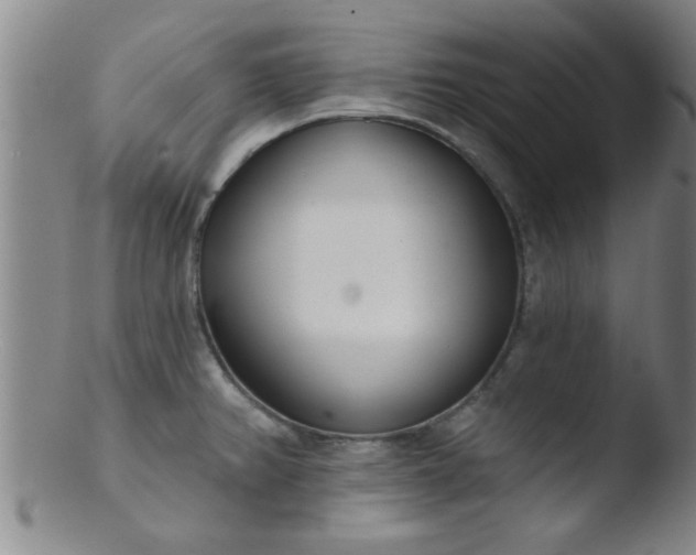 X0000103491382200809261940