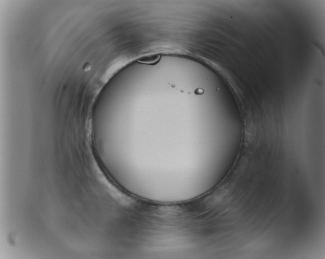 X0000103491383200809261940