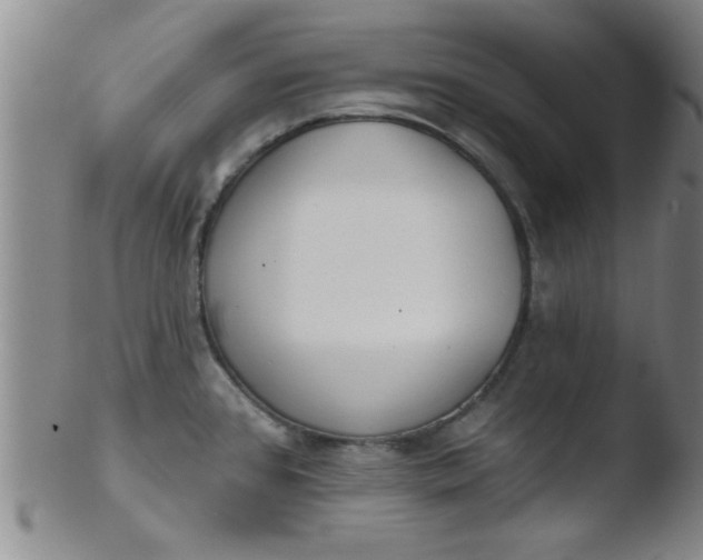 X0000103491384200809261940