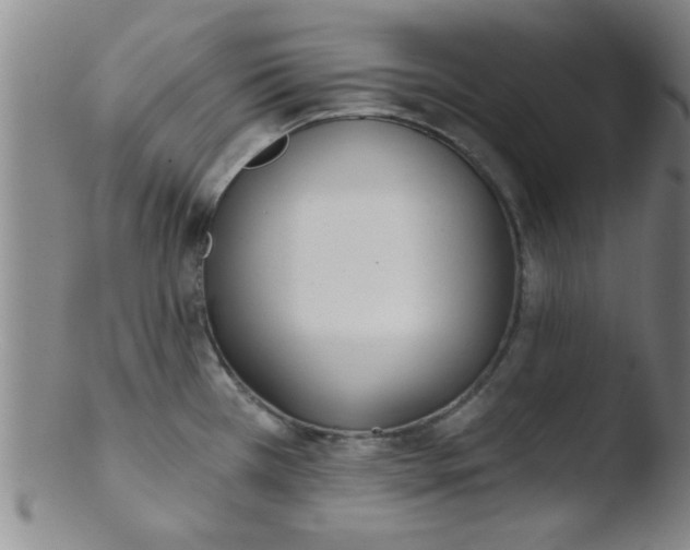 X0000103491385200809261940