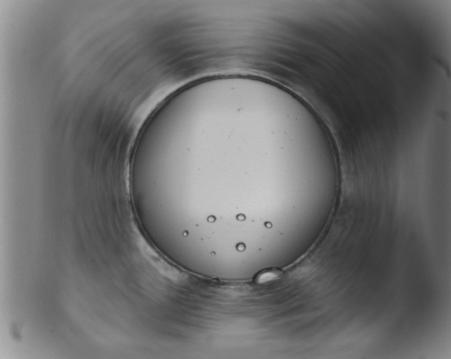 X0000103491388200809261940