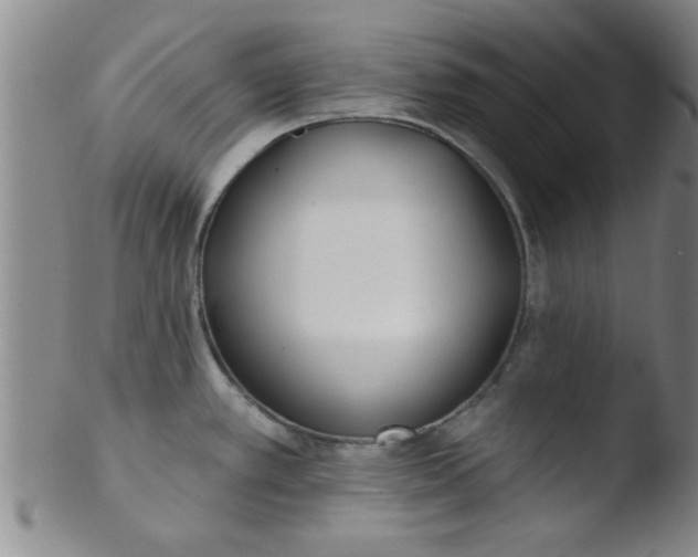 X0000103491389200809261940