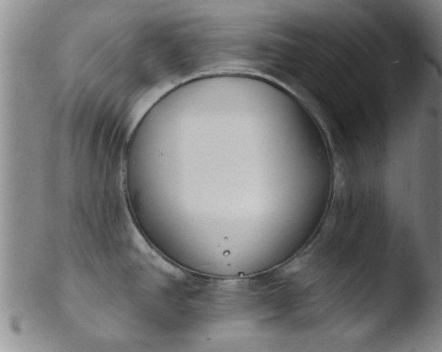 X0000103491390200809261940