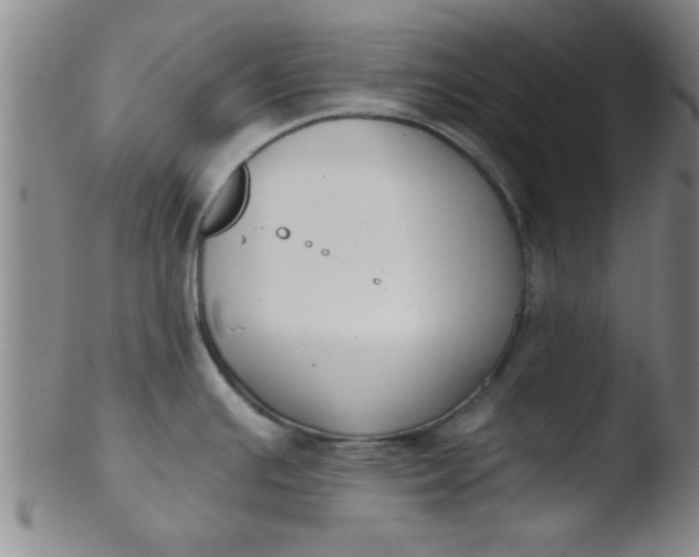 X0000103491391200809261940