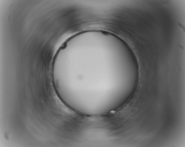 X0000103491392200809261940