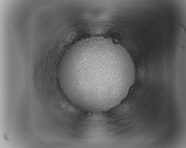 X0000103491393200809261939