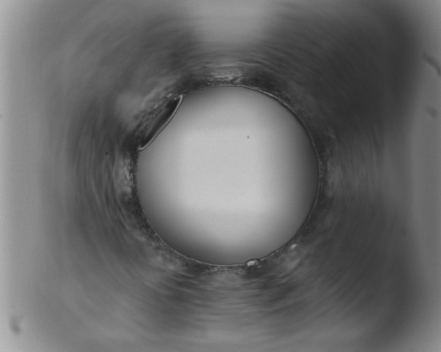 X0000103491394200809261939