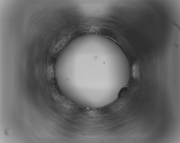 X0000103491395200809261939