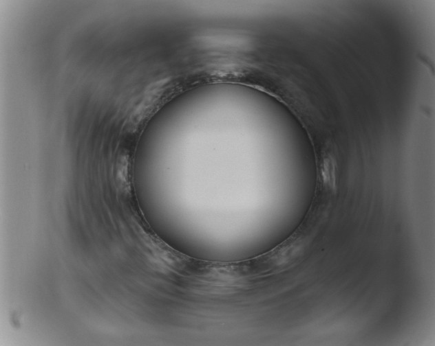 X0000103491396200809261940