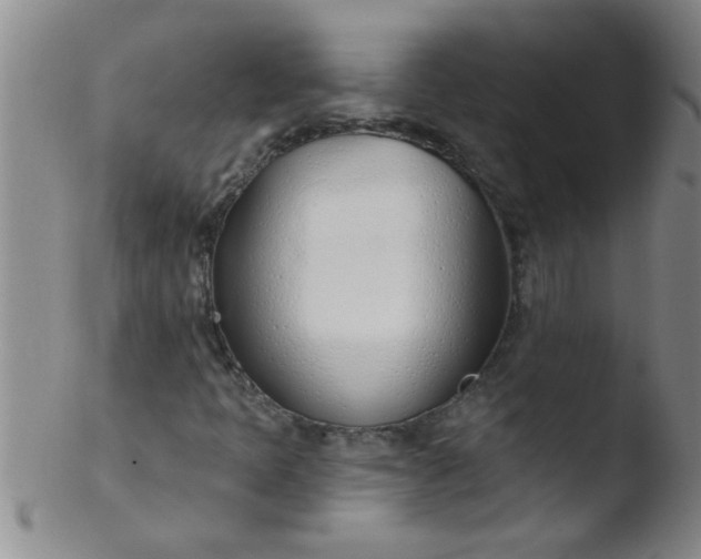 X0000103491397200809261940