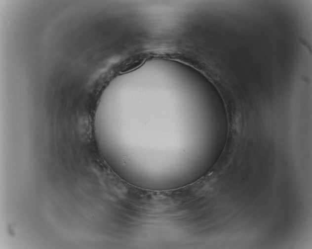 X0000103491398200809261940