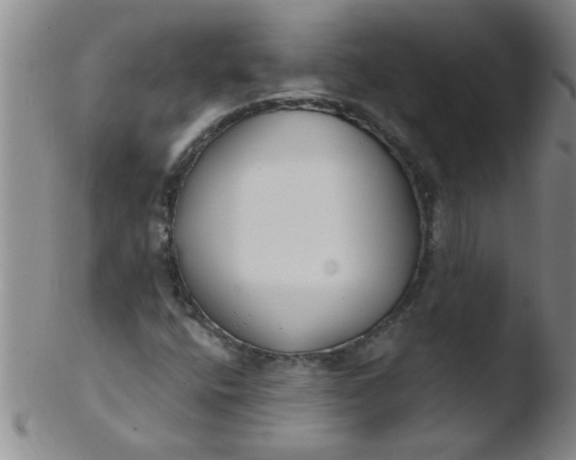 X0000103491400200809261940