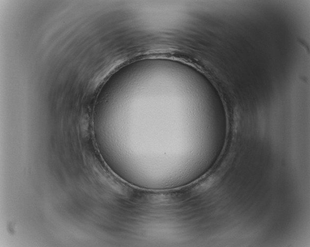 X0000103491401200809261940