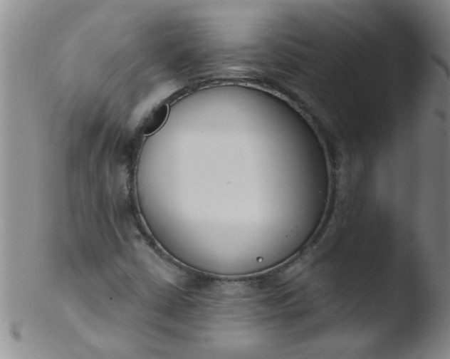 X0000103491402200809261940