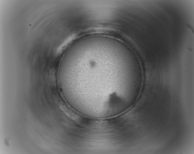 X0000103491403200809261940