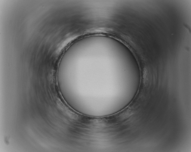 X0000103491404200809261940