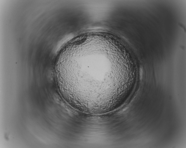 X0000103491405200809261940