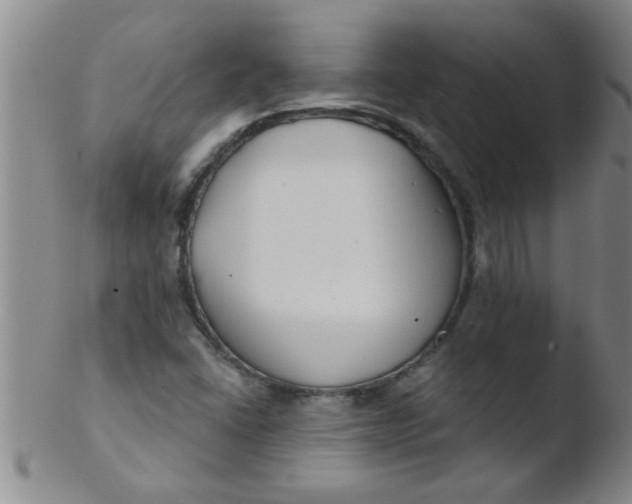 X0000103491406200809261940