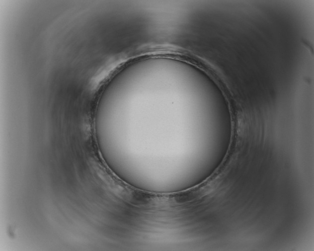 X0000103491407200809261940