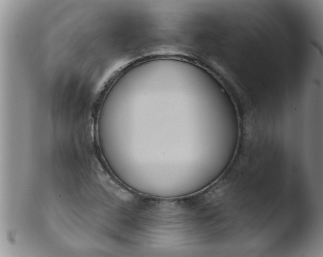 X0000103491408200809261940