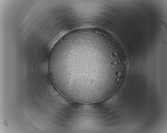 X0000103491409200809261940