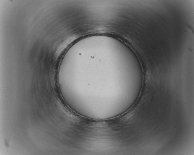 X0000103491410200809261940