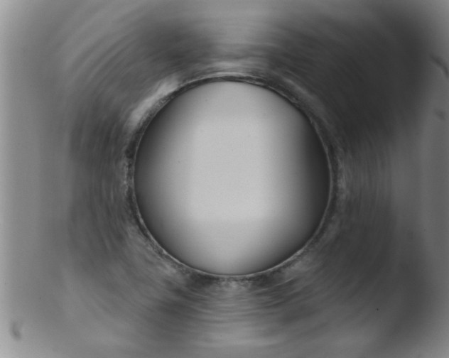 X0000103491411200809261940