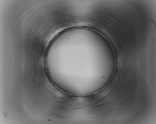 X0000103491412200809261940