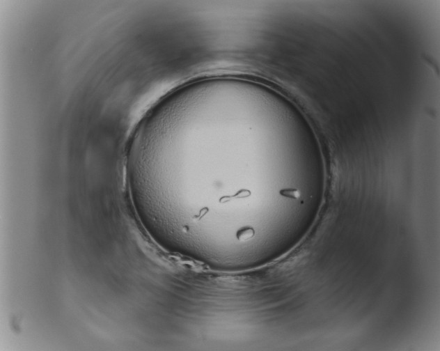 X0000103491413200809261940