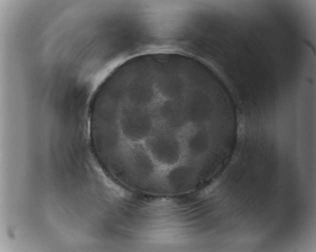 X0000103491414200809261940