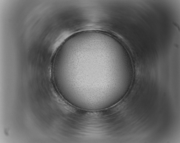 X0000103491415200809261940