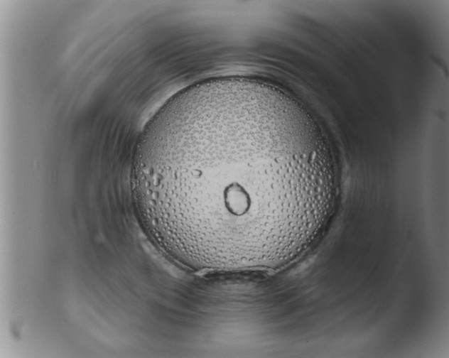 X0000103491417200809261940