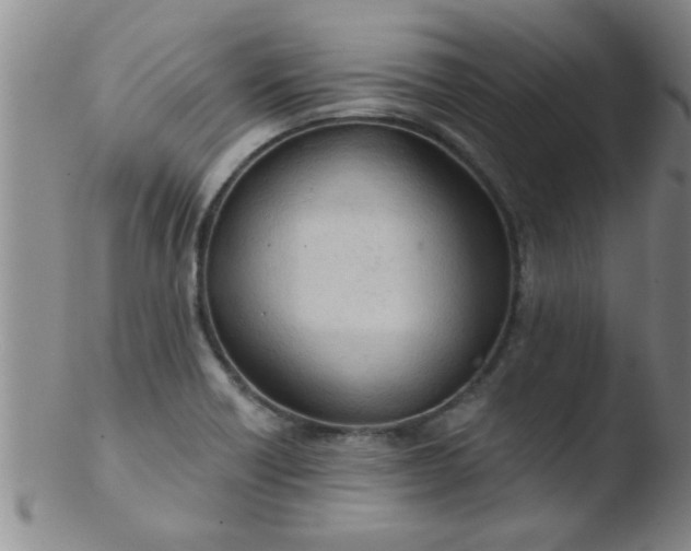 X0000103491418200809261940