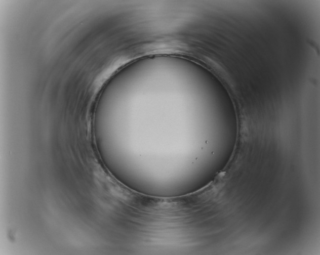 X0000103491419200809261940