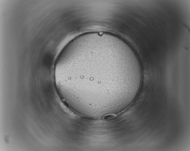 X0000103491421200809261940