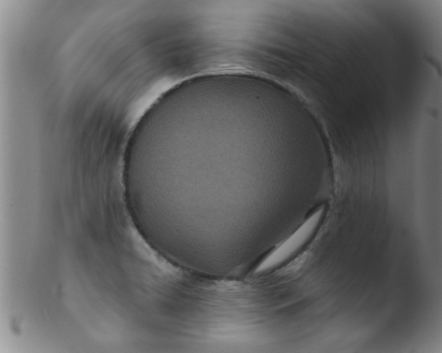 X0000103491422200809261940