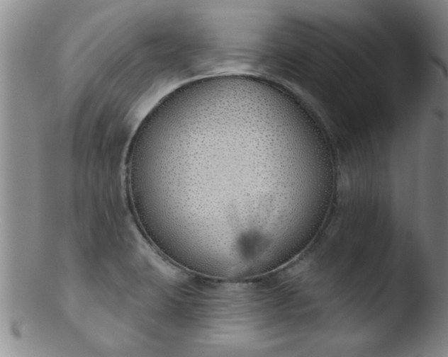 X0000103491423200809261940