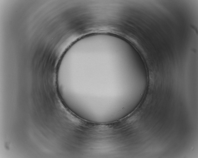 X0000103491424200809261940