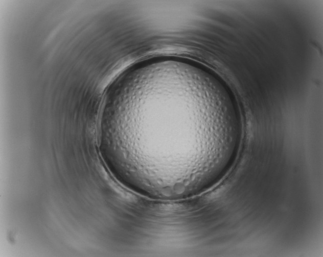 X0000103491425200809261940