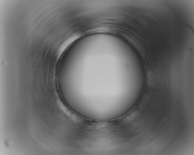 X0000103491426200809261940