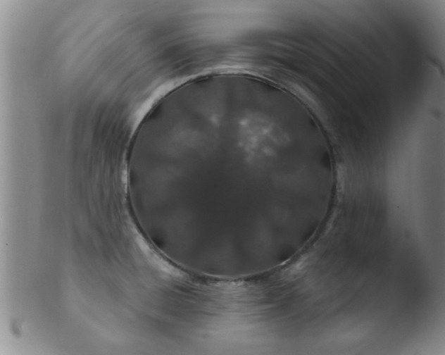 X0000103491428200809261940