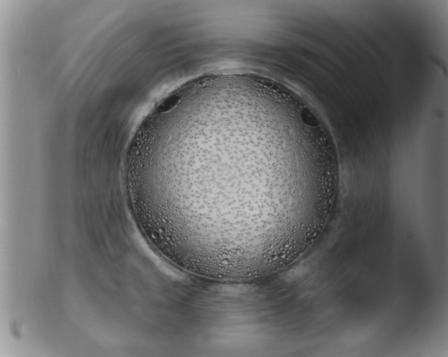 X0000103491429200809261940