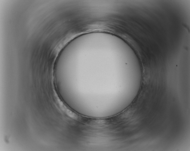 X0000103491431200809261940