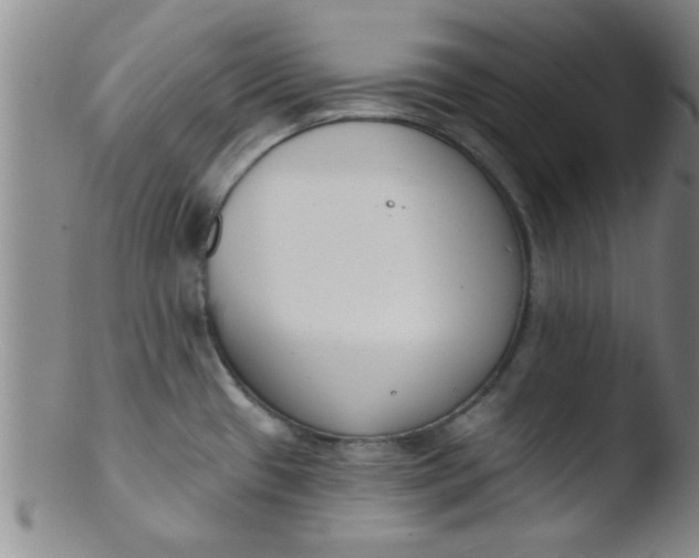 X0000103491433200809261940