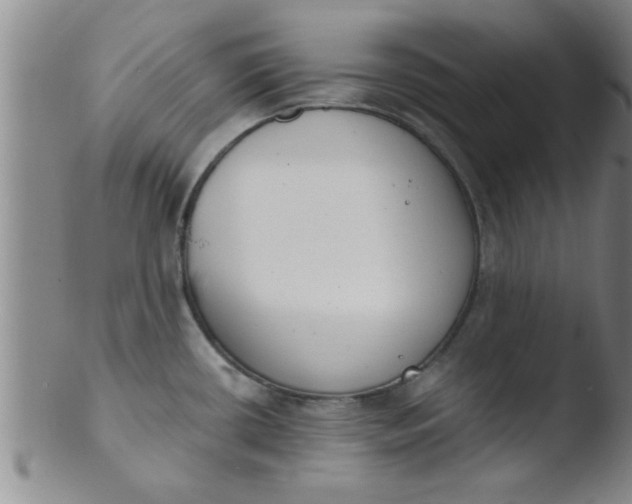 X0000103491434200809261940